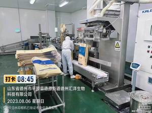 Production Process