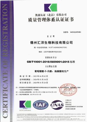 ISO9001